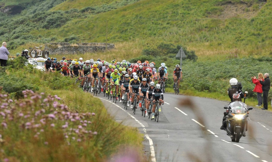The peloton on the road to Kelso (Sweetspot)